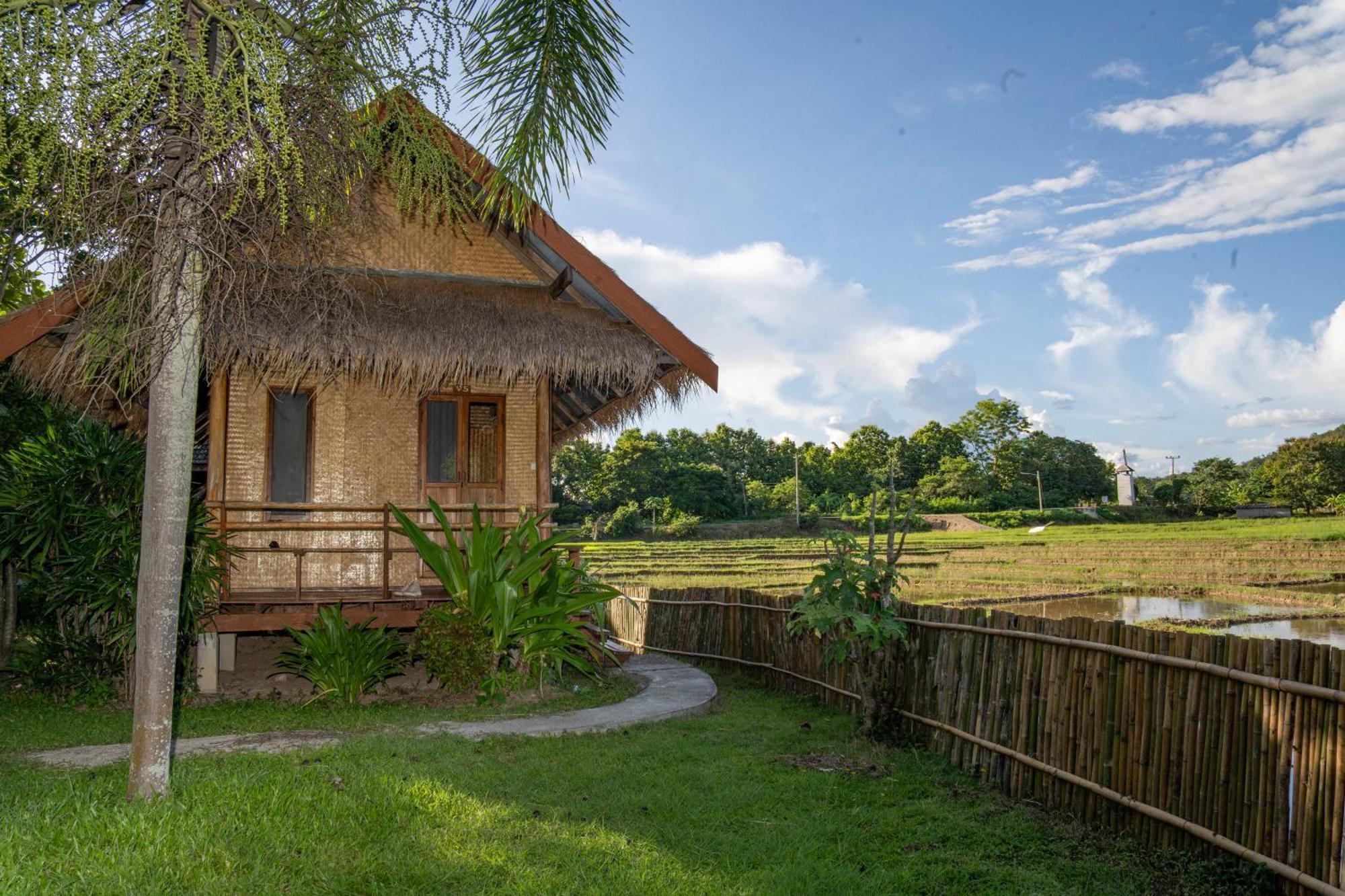 Butterfly Hostel, Paj Kültér fotó