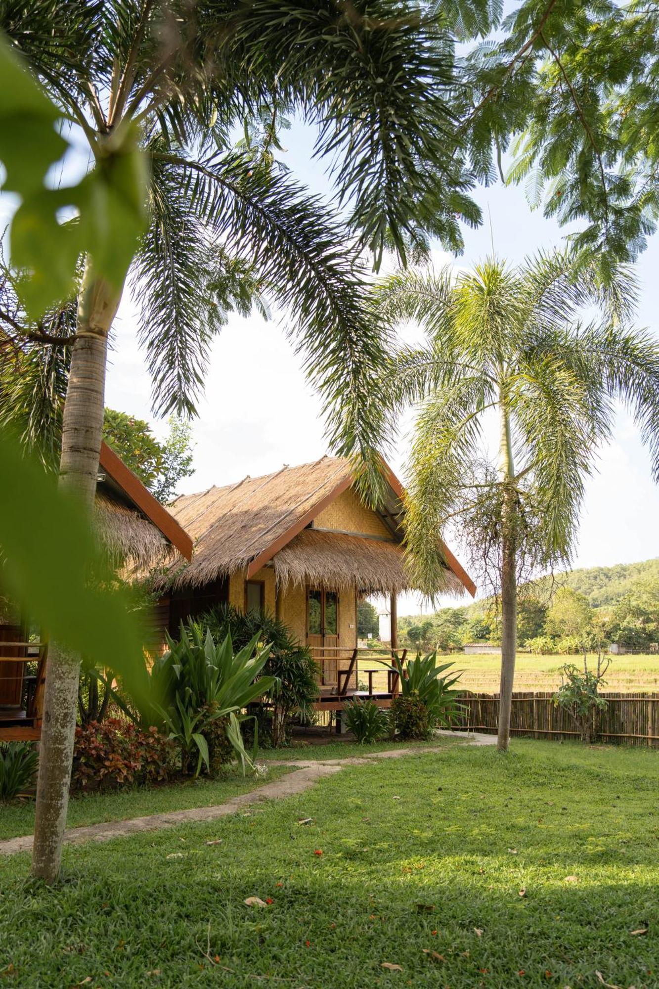 Butterfly Hostel, Paj Kültér fotó